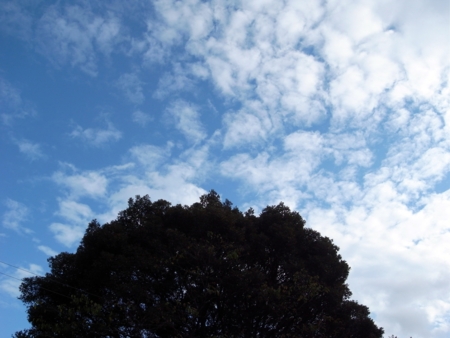f:id:hobbiton:20111101154143j:image