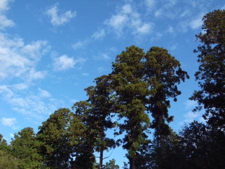 f:id:hobbiton:20111101154149j:image