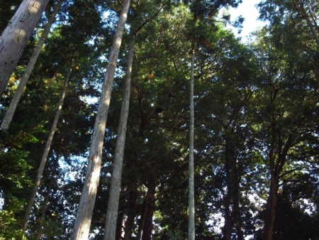 f:id:hobbiton:20111101154150j:image