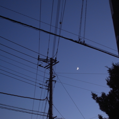 f:id:hobbiton:20111101161749j:image:w330
