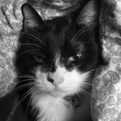 f:id:hobbiton:20111105150347j:image f:id:hobbiton:20111105150347j:image