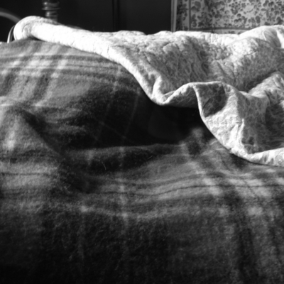 f:id:hobbiton:20111119153612j:image:w230 f:id:hobbiton:20111119153612j:image:w230