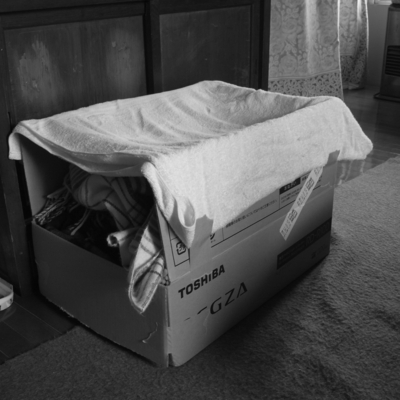 f:id:hobbiton:20111119153613j:image:w230 f:id:hobbiton:20111119153613j:image:w230