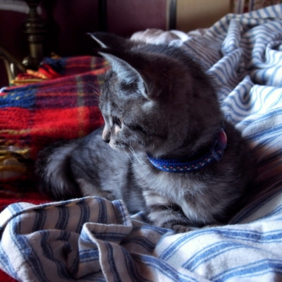 f:id:hobbiton:20111215114557j:image