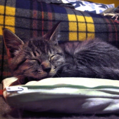 f:id:hobbiton:20111215114901j:image:w400