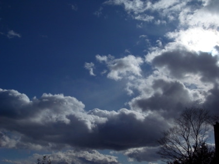 f:id:hobbiton:20111227154818j:image