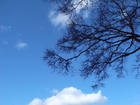 f:id:hobbiton:20111227154822j:image