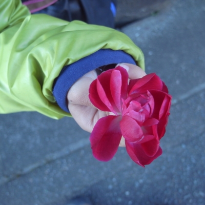 f:id:hobbiton:20111229002043j:image:w290