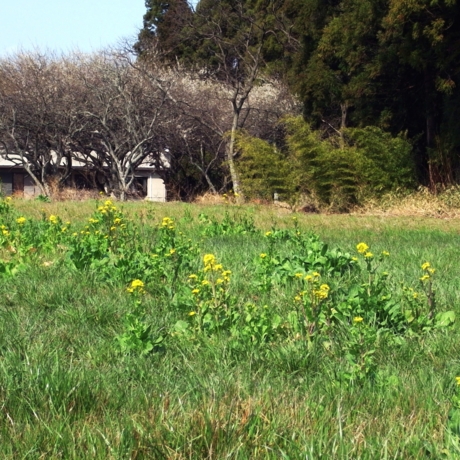 f:id:hobbiton:20120402221430j:image:w245
