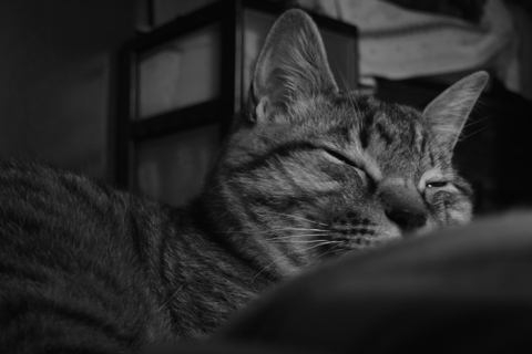 f:id:hobbiton:20120421161822j:image:w245