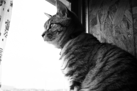 f:id:hobbiton:20120421161826j:image:w245