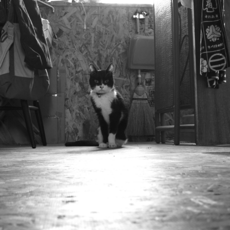 f:id:hobbiton:20120422214214j:image:w245