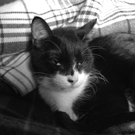 f:id:hobbiton:20120422214822j:image:w290