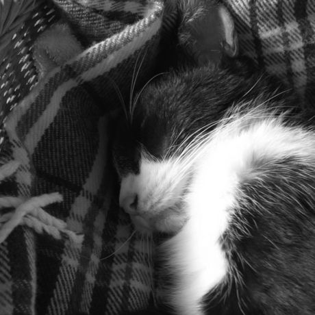 f:id:hobbiton:20120422214823j:image:w290