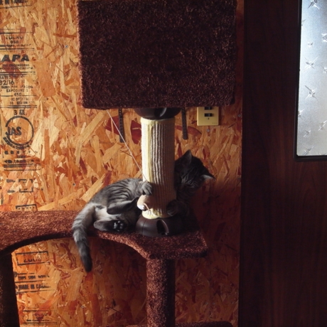 f:id:hobbiton:20120507161740j:image:w240 f:id:hobbiton:20120507161740j:image:w240