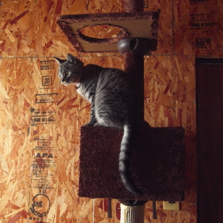 f:id:hobbiton:20120507161742j:image f:id:hobbiton:20120507161742j:image