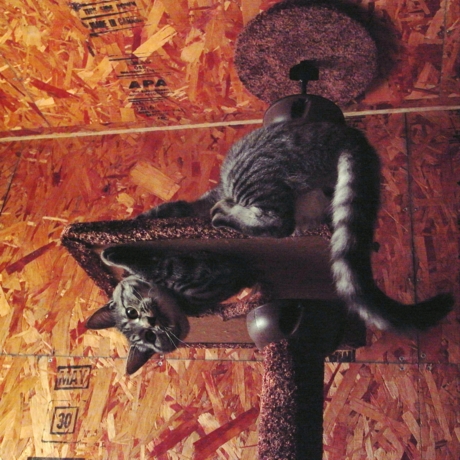 f:id:hobbiton:20120507220854j:image:w240 f:id:hobbiton:20120507220854j:image:w240