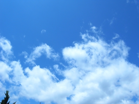 f:id:hobbiton:20120523224447j:image