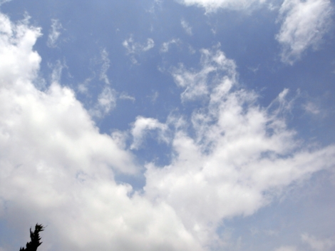 f:id:hobbiton:20120623114805j:image