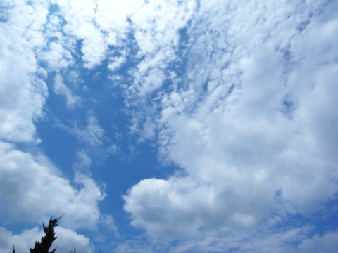 f:id:hobbiton:20120723115808j:image