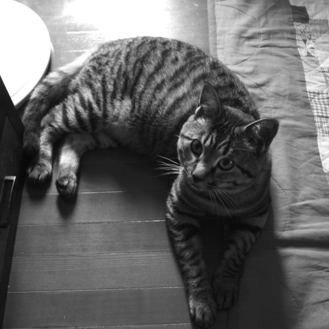f:id:hobbiton:20120812223834j:image