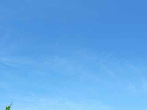 f:id:hobbiton:20120823142017j:image