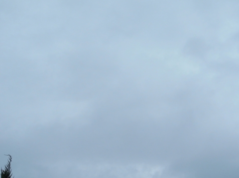 f:id:hobbiton:20120923114905j:image