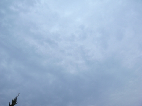 f:id:hobbiton:20121123180356j:image