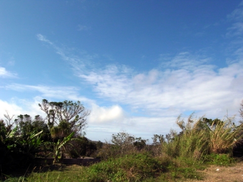 f:id:hobbiton:20130207182722j:image:w245
