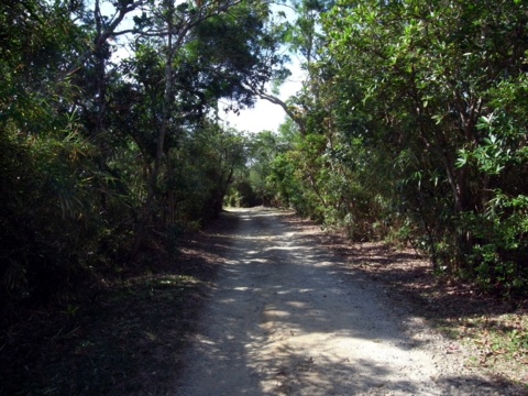 f:id:hobbiton:20130207182724j:image:w360