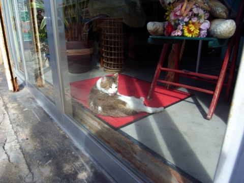 f:id:hobbiton:20130207182812j:image:w360