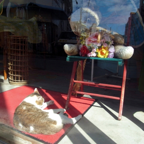 f:id:hobbiton:20130207182813j:image:w360