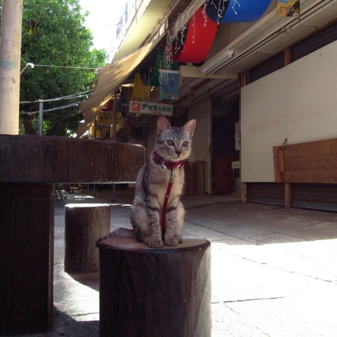f:id:hobbiton:20130207182814j:image:w245