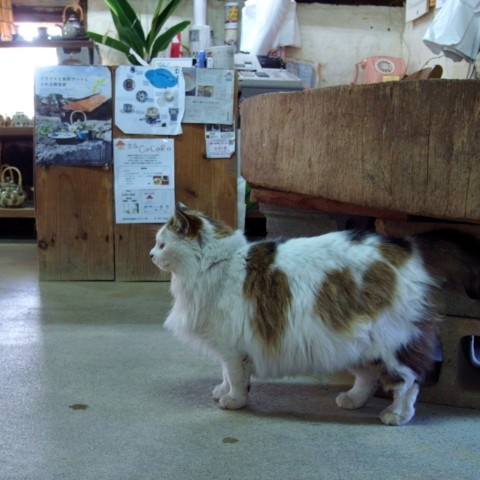 f:id:hobbiton:20130207182820j:image:w245
