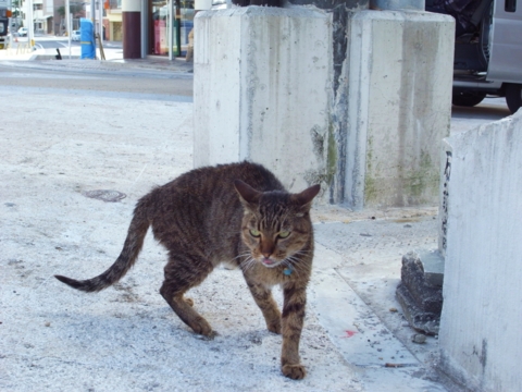 f:id:hobbiton:20130207182823j:image:w245
