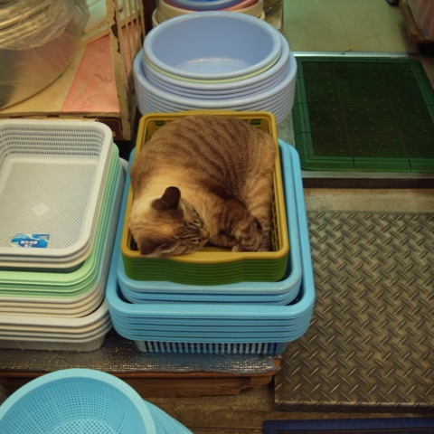 f:id:hobbiton:20130207182825j:image:w245