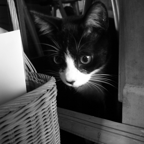 f:id:hobbiton:20130901001823j:image