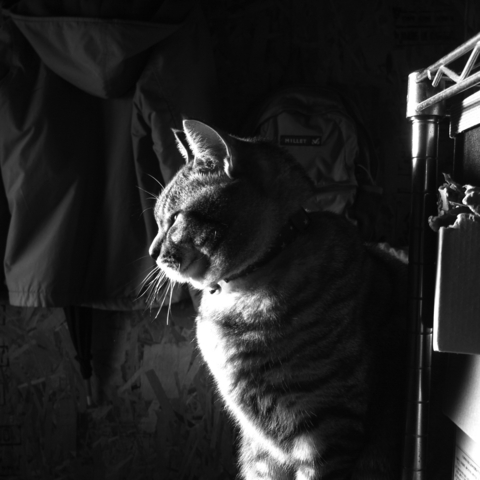 f:id:hobbiton:20131214214651j:image