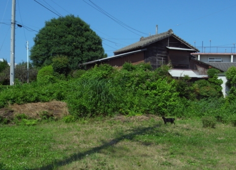 f:id:hobbiton:20140623161759j:image