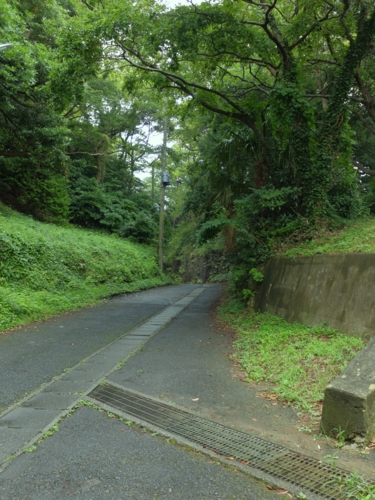 f:id:hobbiton:20140825210220j:image:w245