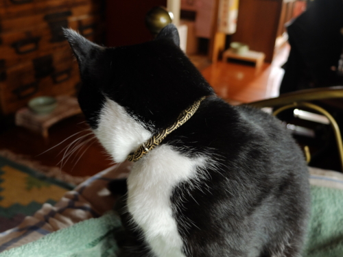 f:id:hobbiton:20150701000347j:image f:id:hobbiton:20150701000347j:image
