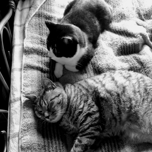 f:id:hobbiton:20160701140612j:image