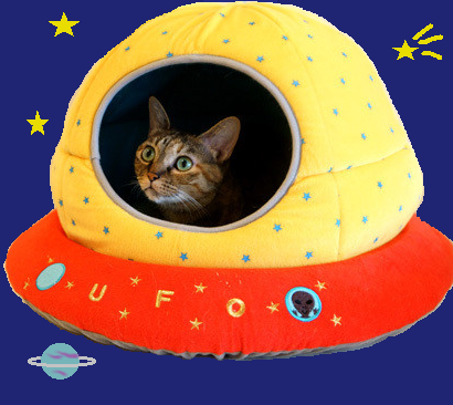 f:id:hobbiton:20161128214258p:image:w380