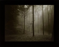 f:id:hobbiton:20180917204226j:image:right