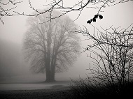 f:id:hobbiton:20180919204133j:image:right