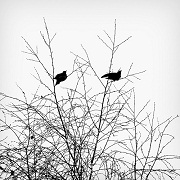 f:id:hobbiton:20180919204138j:image:right