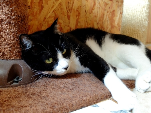 f:id:hobbiton:20190802150910j:plain:w400 f:id:hobbiton:20190802150910j:plain:w400