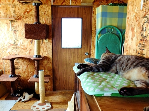 f:id:hobbiton:20190802151040j:plain f:id:hobbiton:20190802151040j:plain