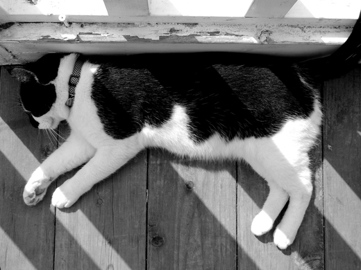 f:id:hobbiton:20190802151243j:plain:w400 f:id:hobbiton:20190802151243j:plain:w400