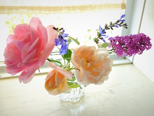 f:id:hobbiton:20201029130814j:plain f:id:hobbiton:20201029130814j:plain